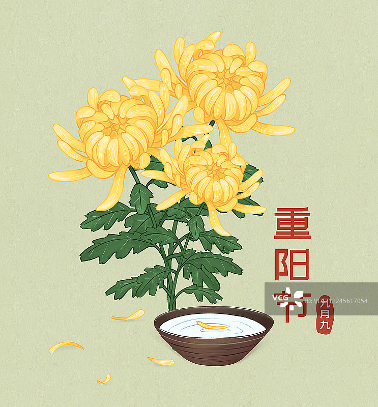 九月九日重阳节赏菊祭祖节日手绘插画图片素材