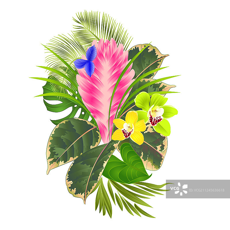 热带花卉插花图片素材
