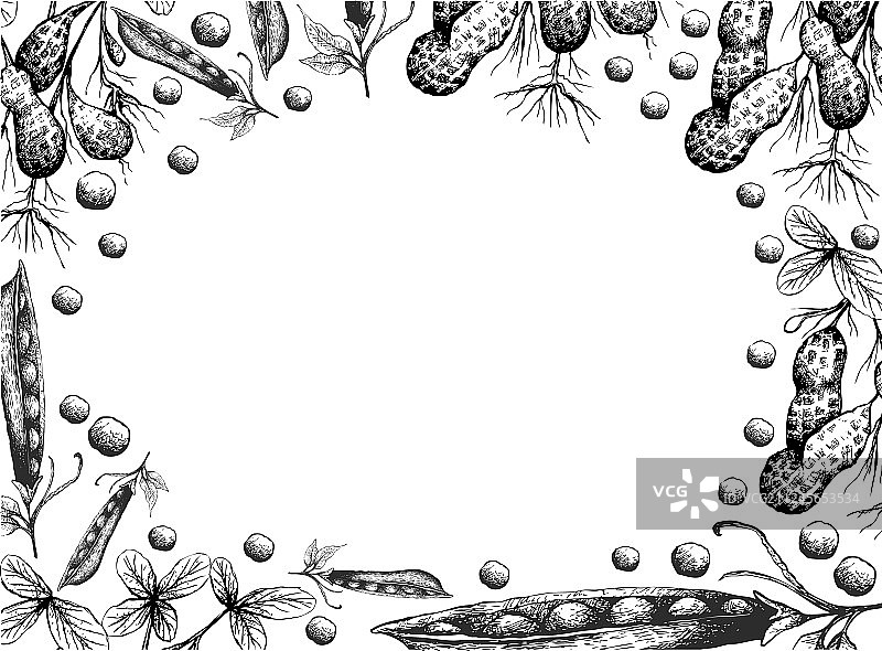 手绘花生和荷兰豆边框图片素材
