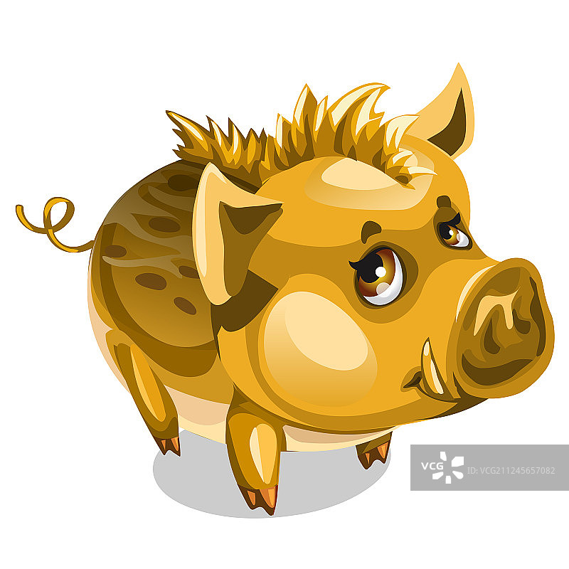 可爱金色小野猪动物（已隔离）图片素材