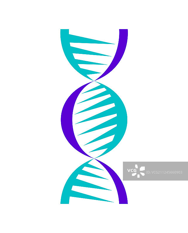 白色背景上分离的抽象DNA链符号图片素材