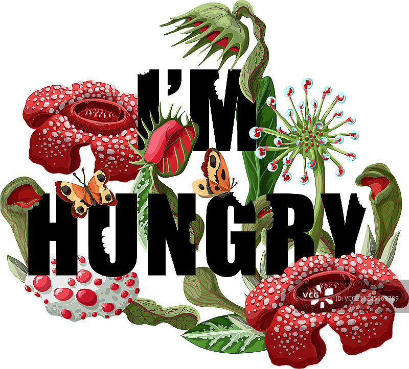 捕食植物花卉T恤印花图片素材