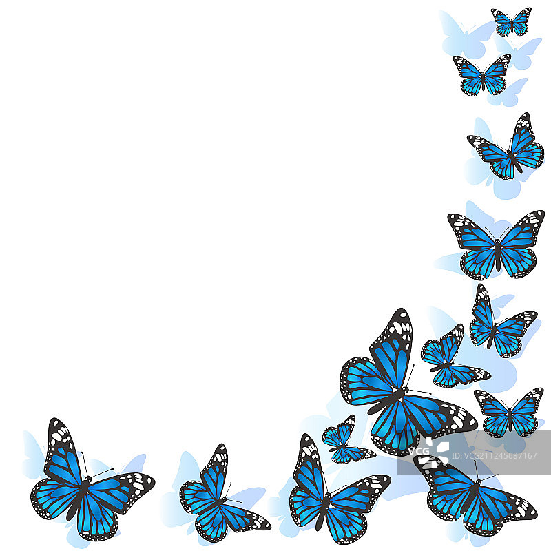 蓝色蝴蝶设计边框元素图片素材