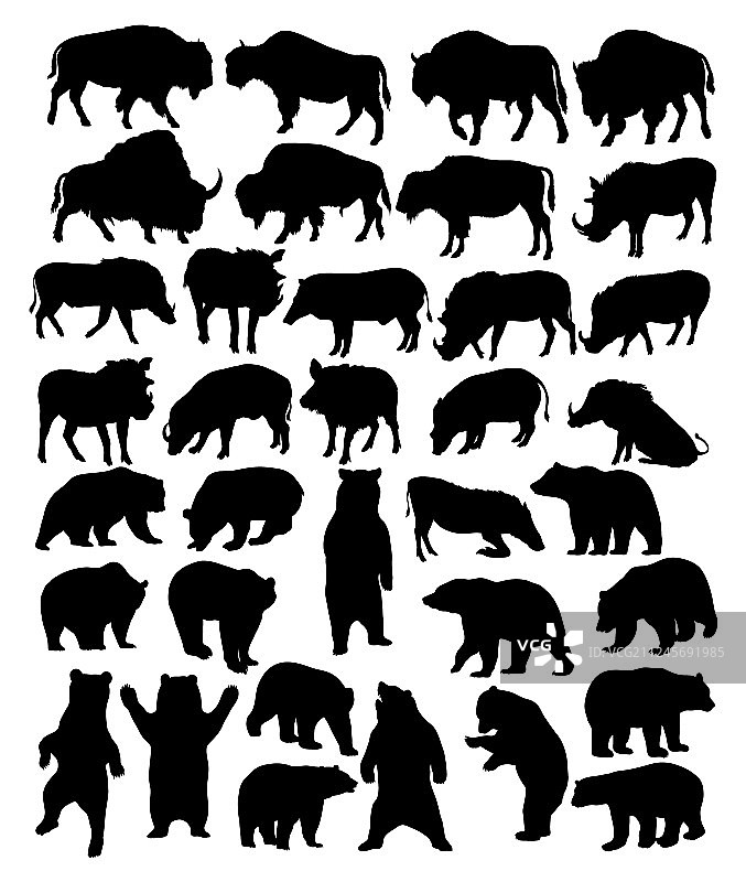 野牛、熊和野猪剪影图片素材