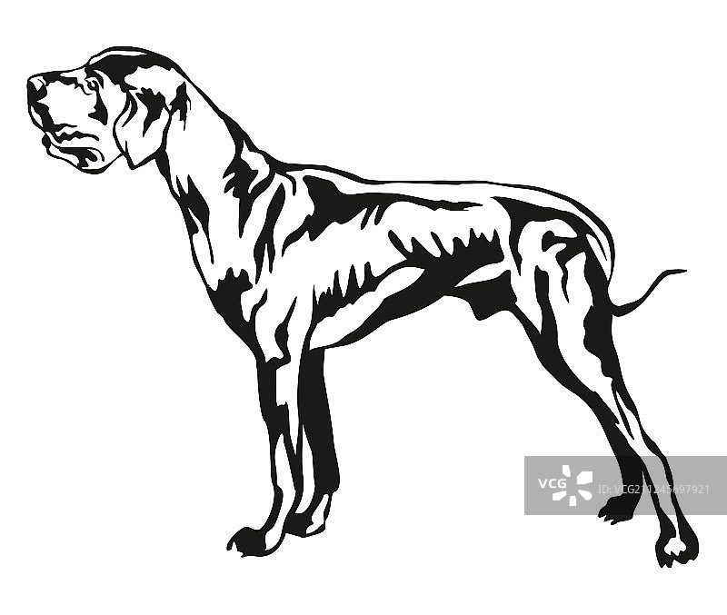 大丹犬装饰立式肖像图片素材