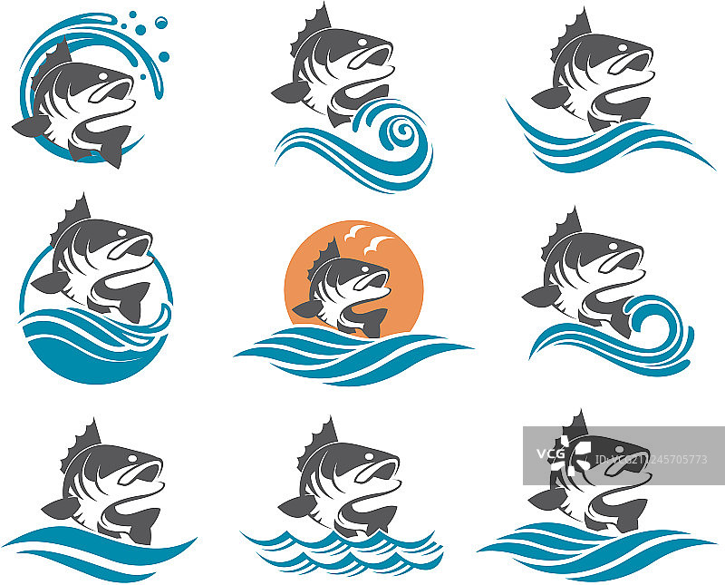 鲈鱼套装图片素材