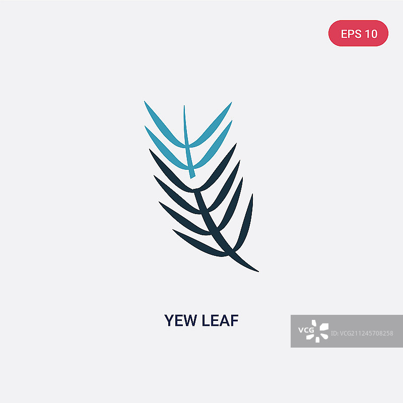 自然概念双色紫杉叶图标图片素材