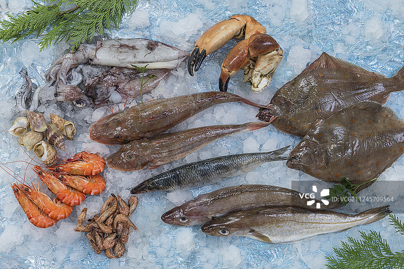 地中海海鲜市场上的新鲜鱼类图片素材