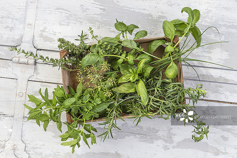 白色背景下的木箱厨房香草图片素材