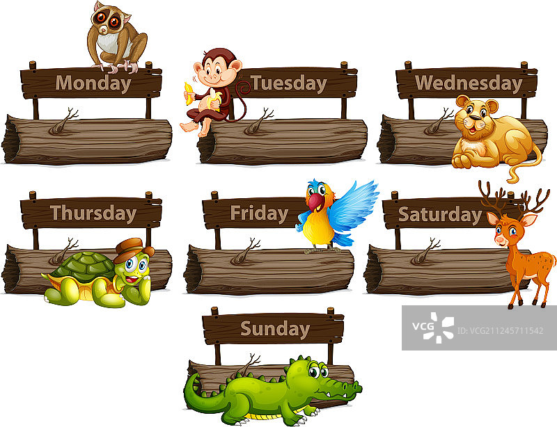 一周动物日历图片素材