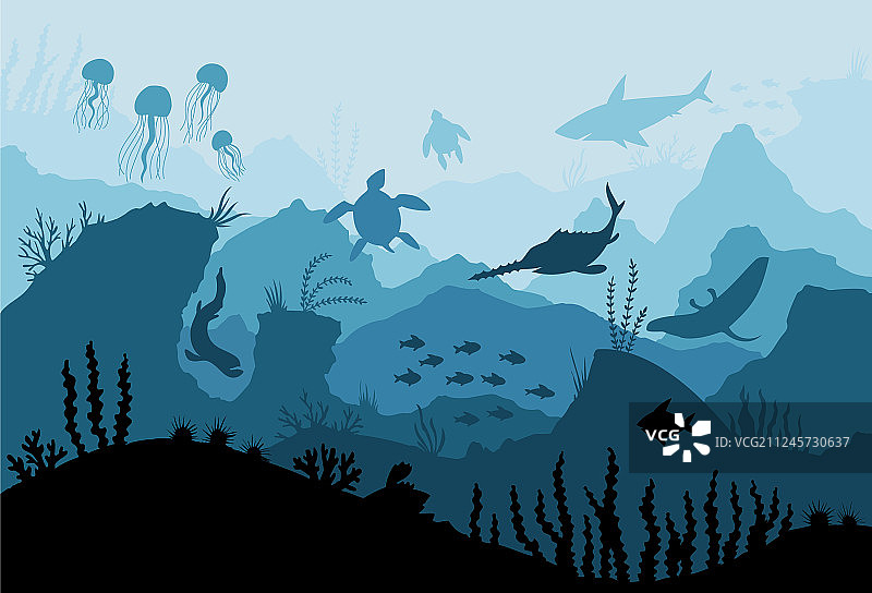 水下海洋动物深海植物鱼类图片素材