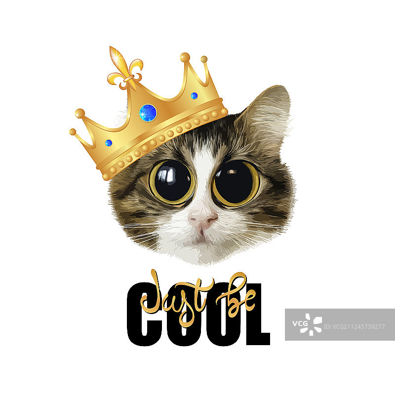 猫咪标语图片素材