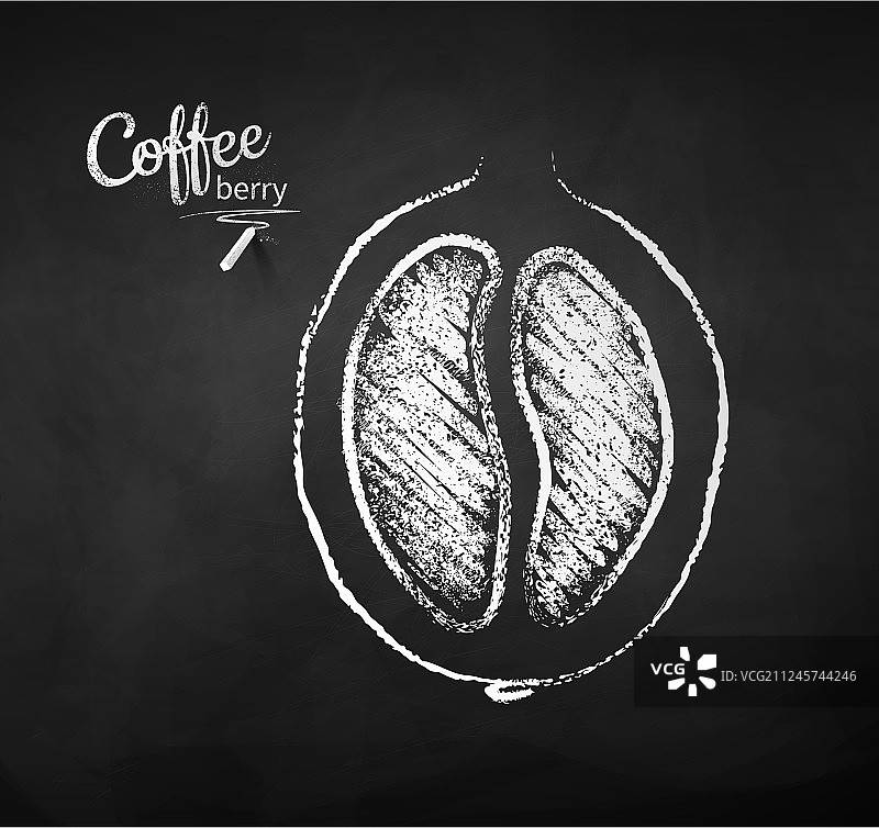 咖啡浆果半切粉笔素描图片素材