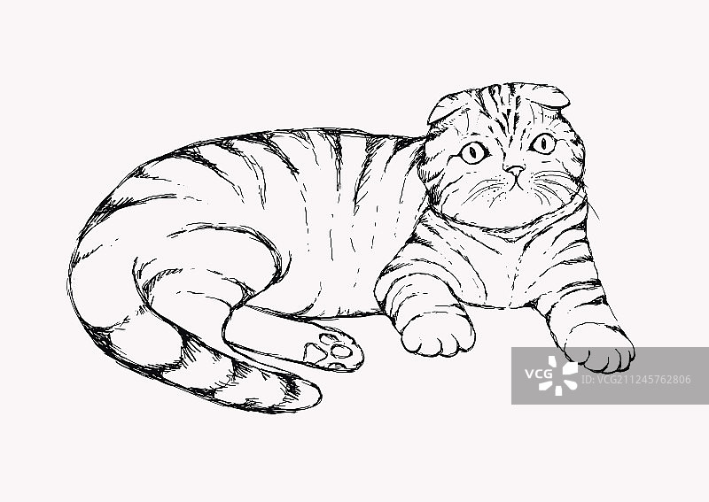 手绘折叠猫插画图片素材