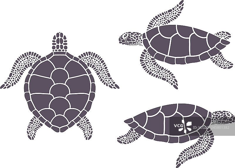 乌龟图片素材