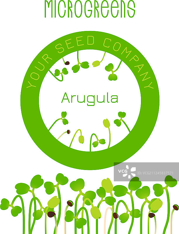 圆形芝麻菜种子微型蔬菜包装设计图片素材