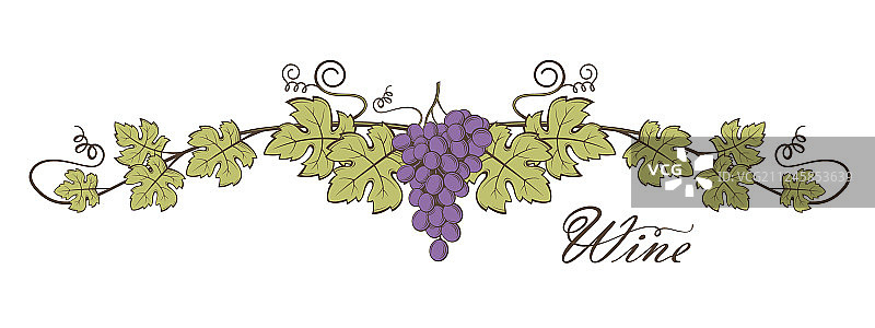 葡萄串图片图片素材