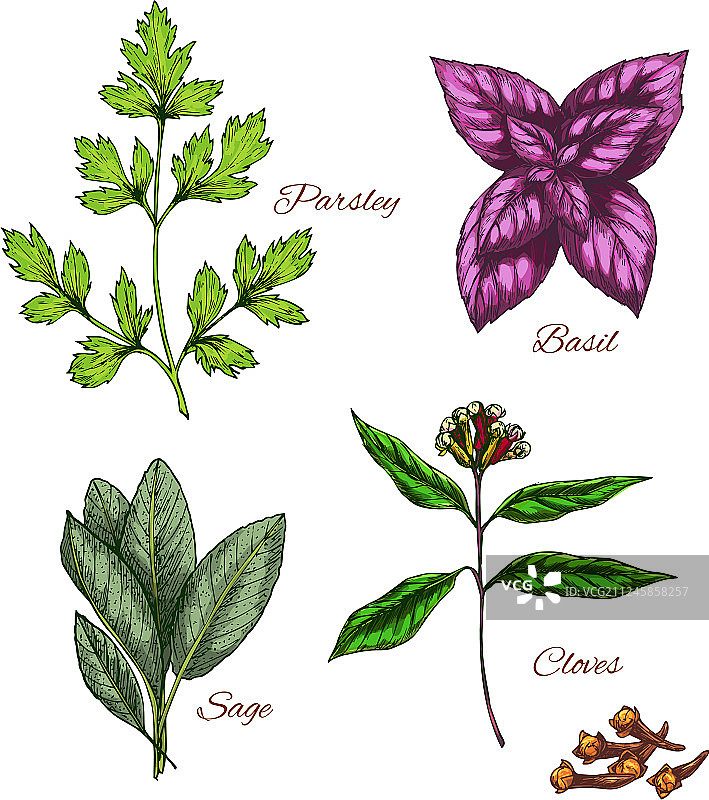 香料调味品图标图片素材