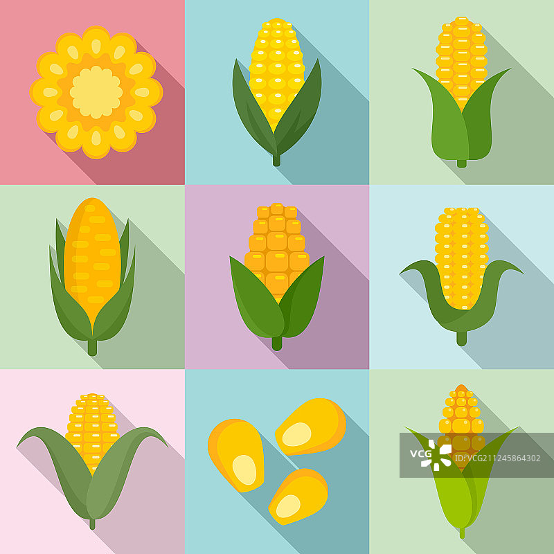 玉米图标扁平风格合集图片素材