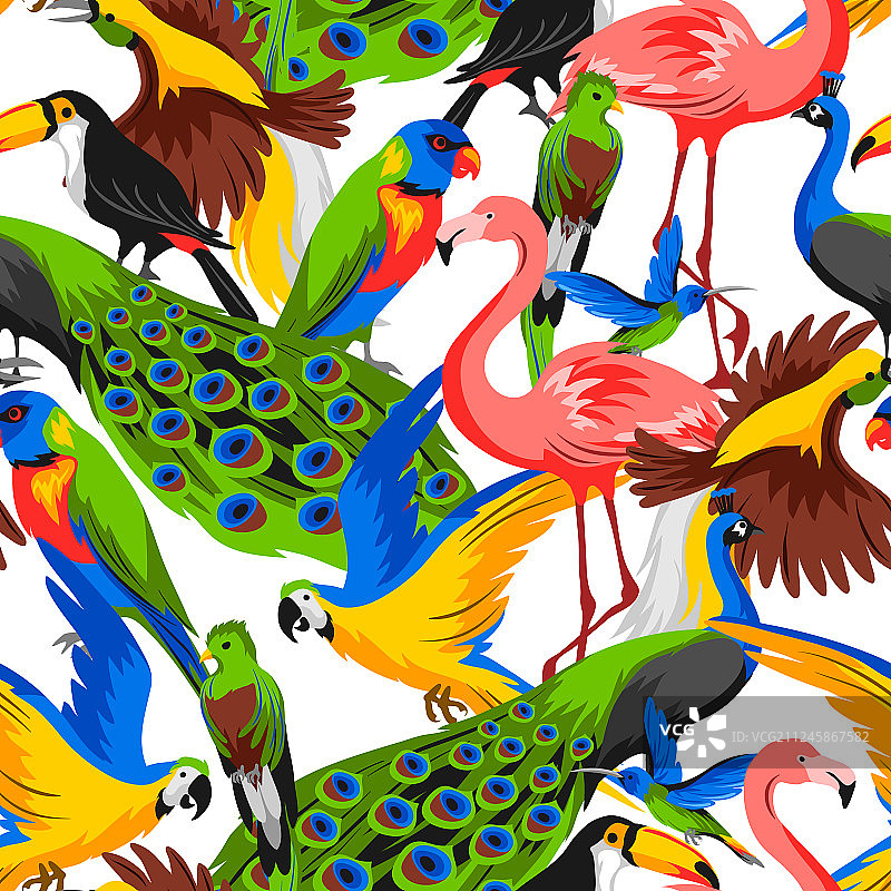 热带异国鸟类无缝图案图片素材
