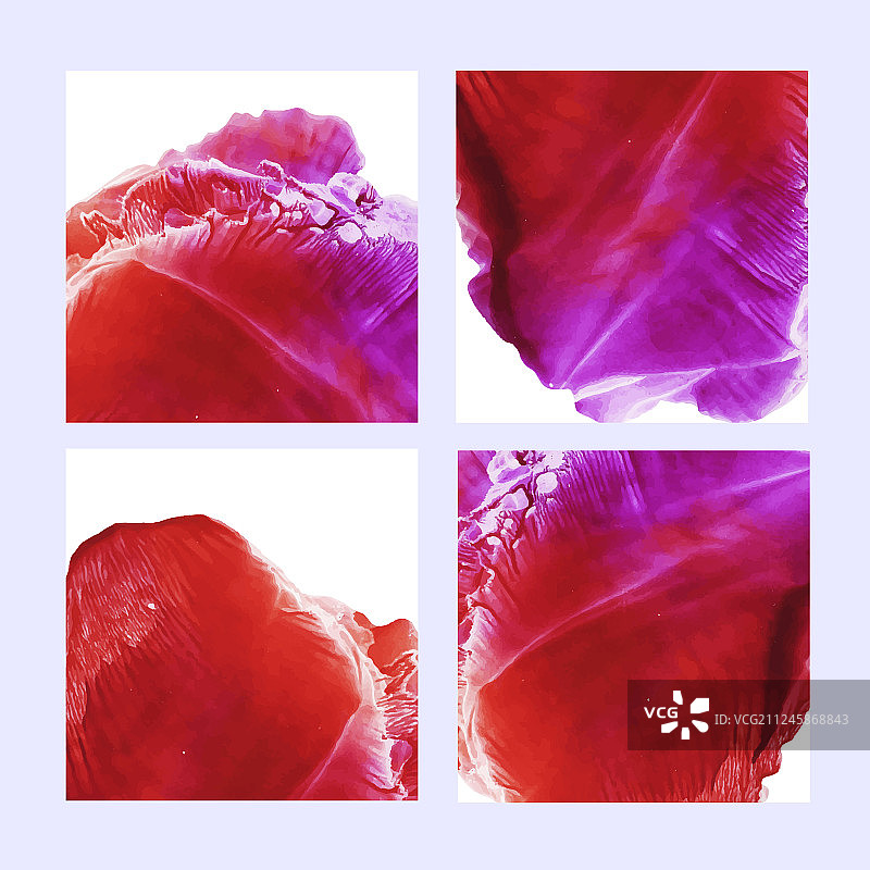 水彩造型帖子模板合集图片素材