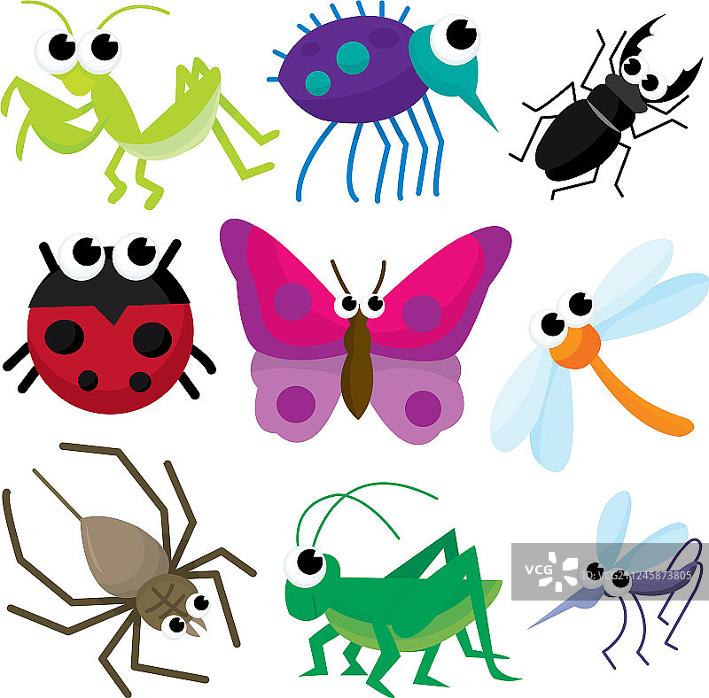 昆虫图片素材