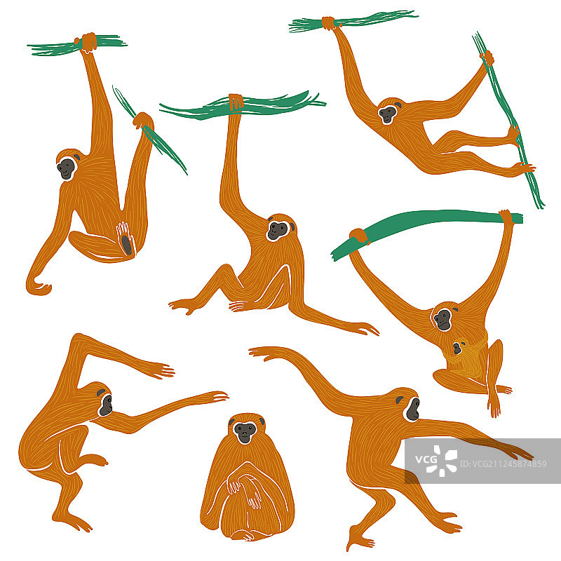 趣味长臂猿猴子图标素材图片素材