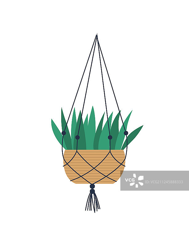 挂在钩子上鱼网的盆栽植物图片素材