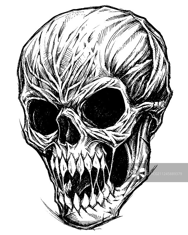 骷髅线条画图片素材
