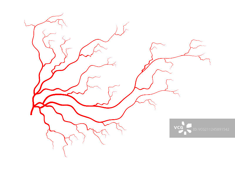 红色的人类血管设计，隔离图片素材