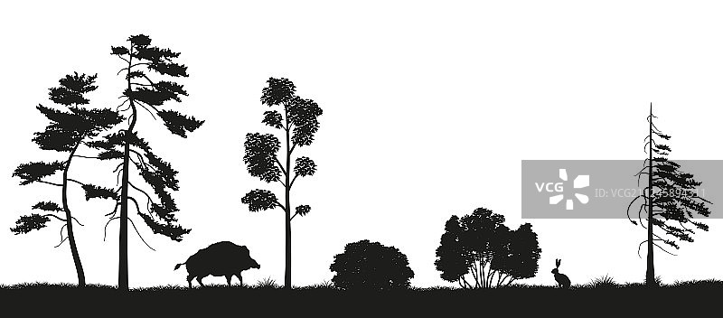 森林树木黑色剪影图片素材