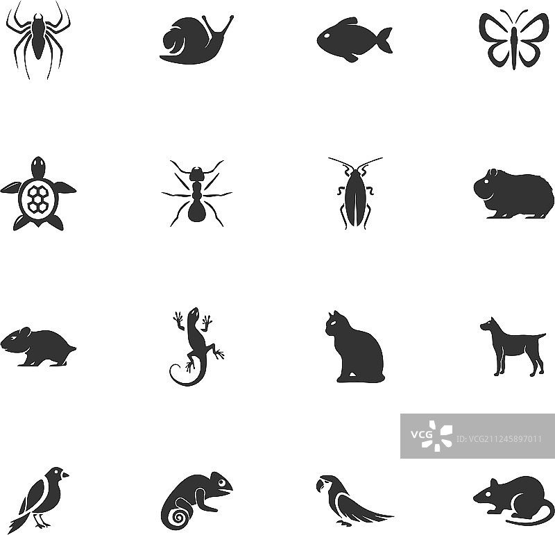 宠物类型图标合集图片素材