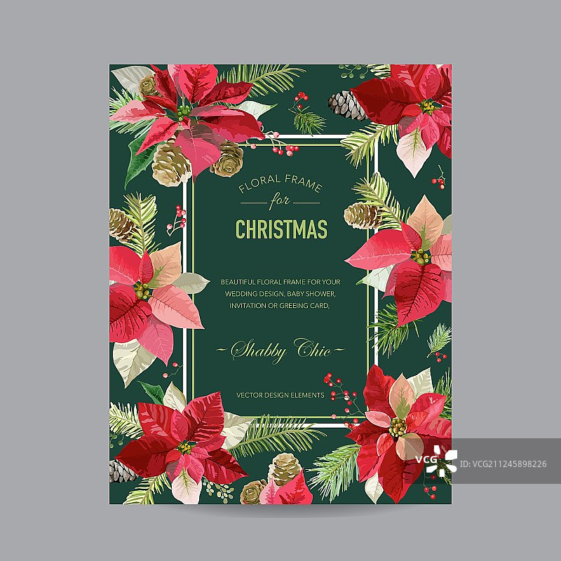 圣诞邀请函，一品红贺卡图片素材