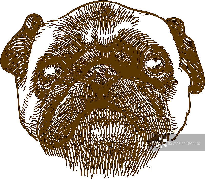 哈巴狗头复古雕刻图片素材