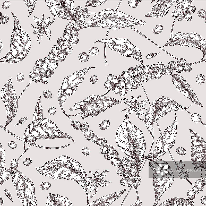 热带咖啡植物无缝图案图片素材