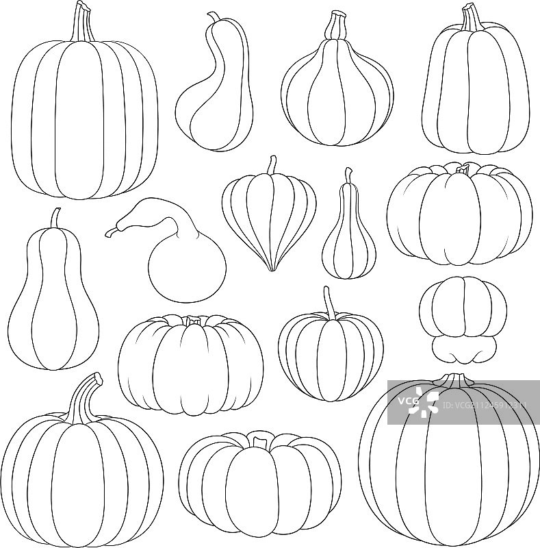 南瓜主题黑白图片合集图片素材