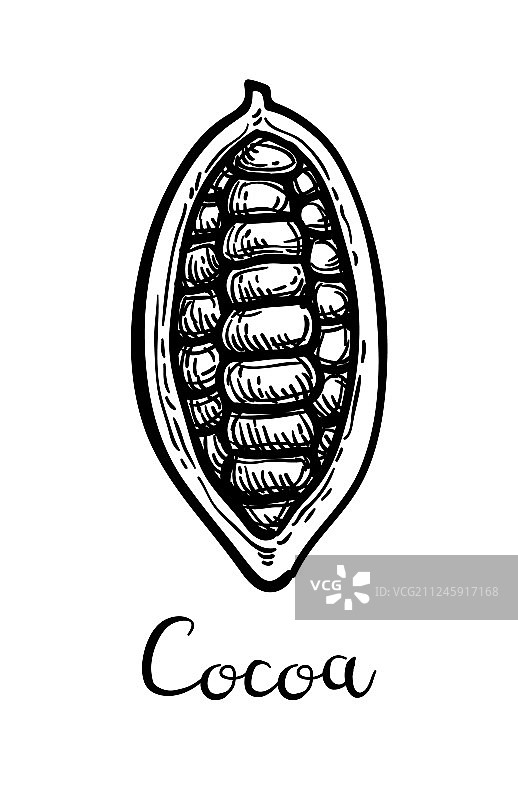 可可水墨草图图片素材