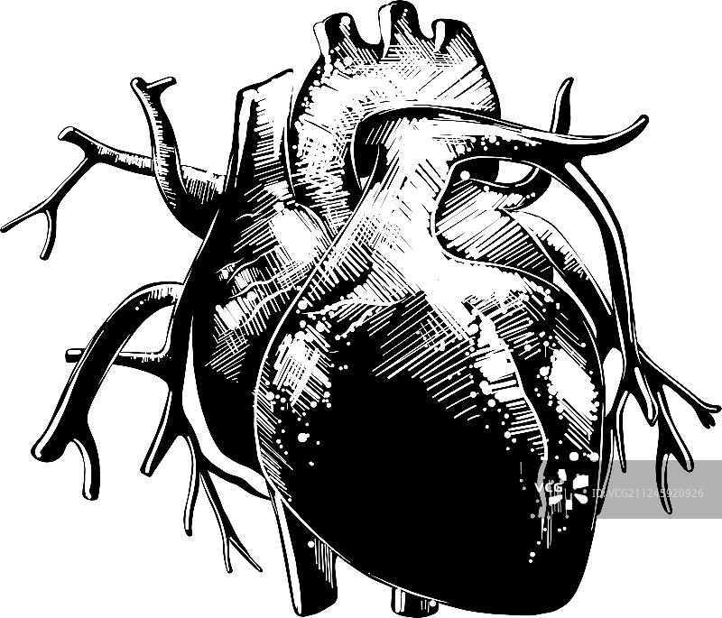 用于海报装饰和印刷的雕刻风格图片素材