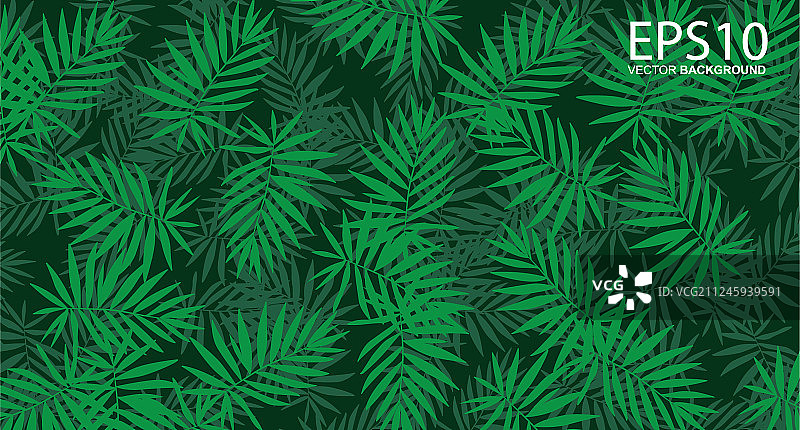 热带绿叶图案的垂直花园图片素材