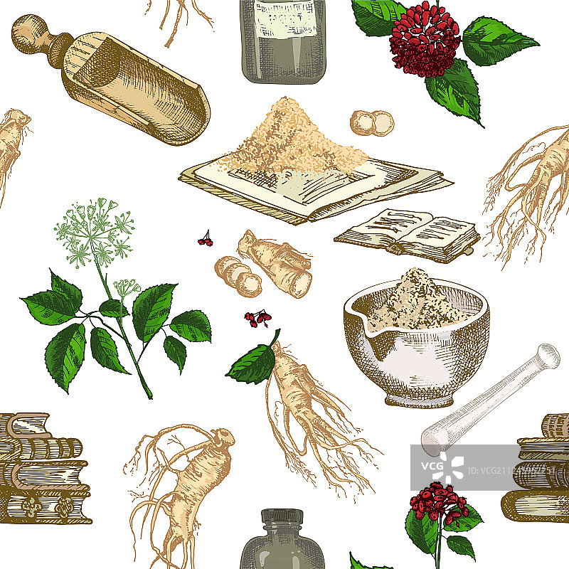 彩色无缝手绘人参图案图片素材