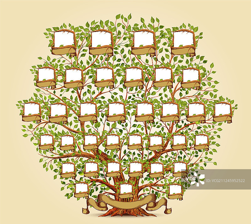 家族树模板图片素材