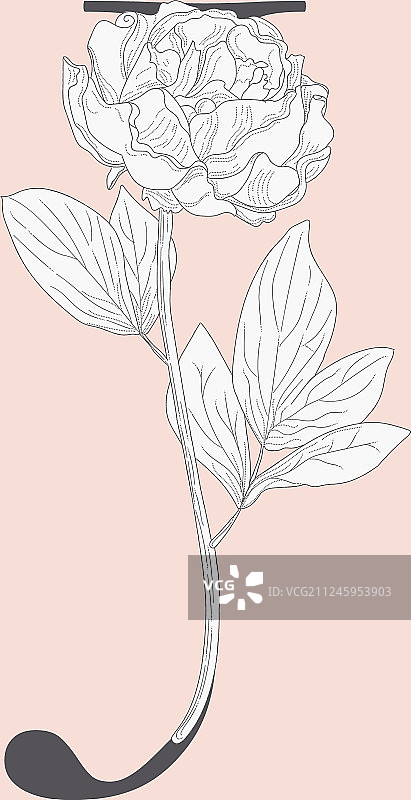 绽放的鲜花首字母J图案标志图片素材