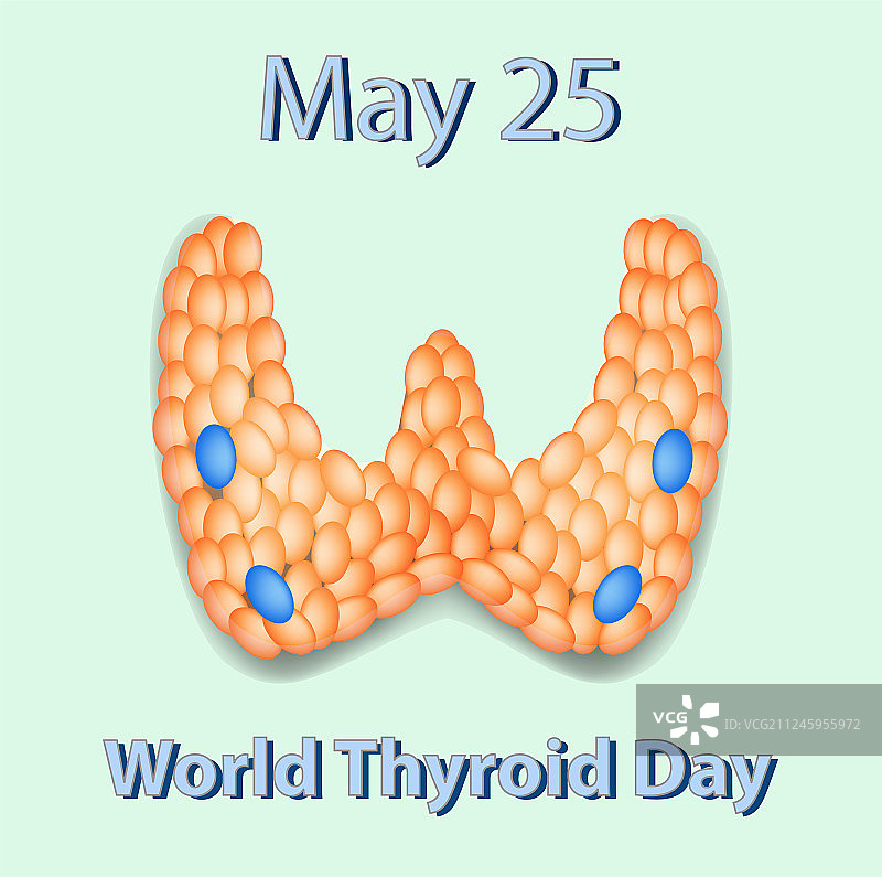 5月25日世界甲状腺日结构图片素材