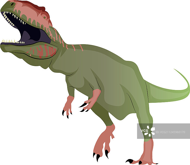 白色背景上的南方巨兽龙图片素材