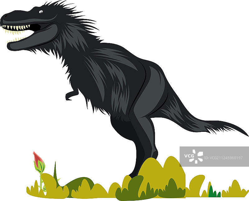 白色背景下的蛇发龙图片素材