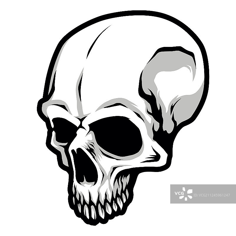 经典骷髅头黑白图案图片素材