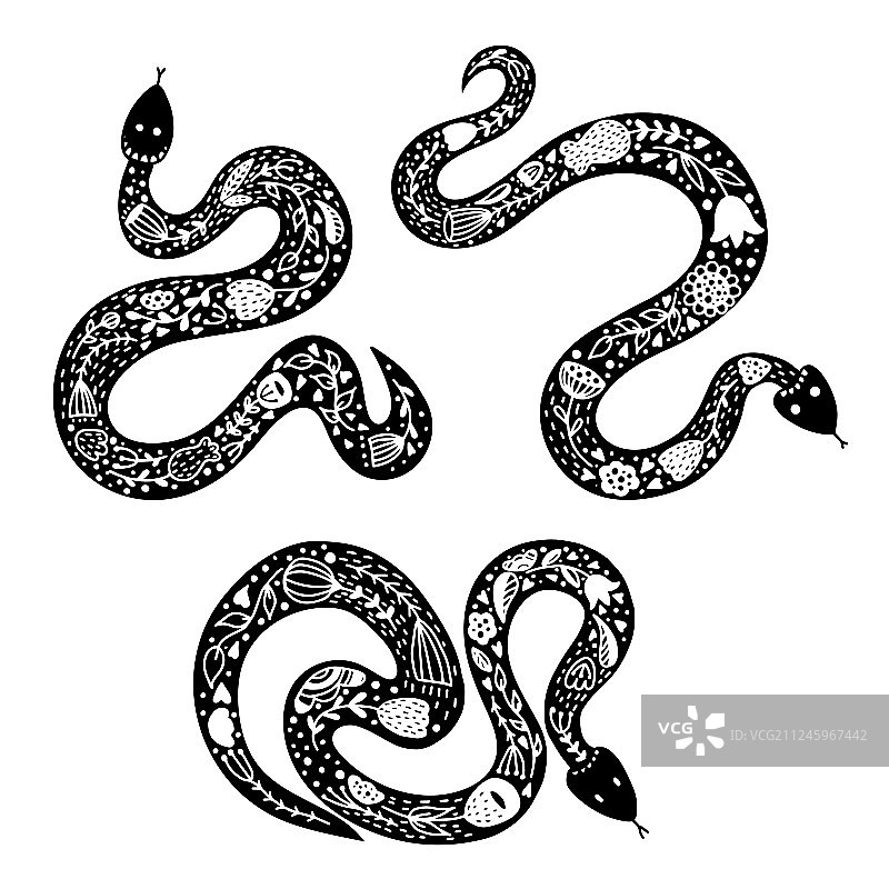 三条斯堪的纳维亚风格的蛇图片素材