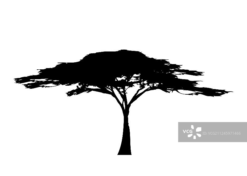 非洲热带树木黑白标志图标图片素材