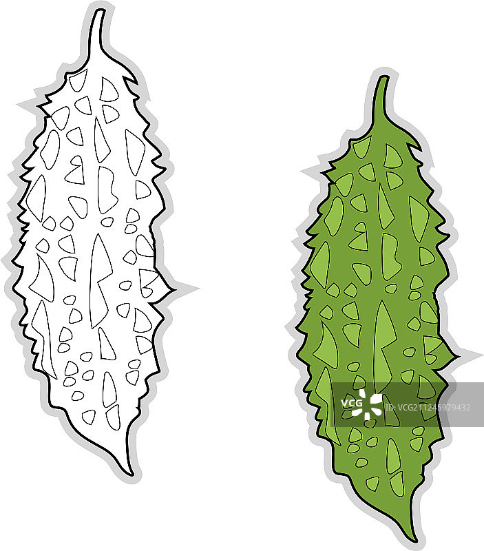 白色背景上的新鲜苦瓜图片素材