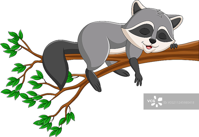 卡通浣熊在树枝上睡觉图片素材